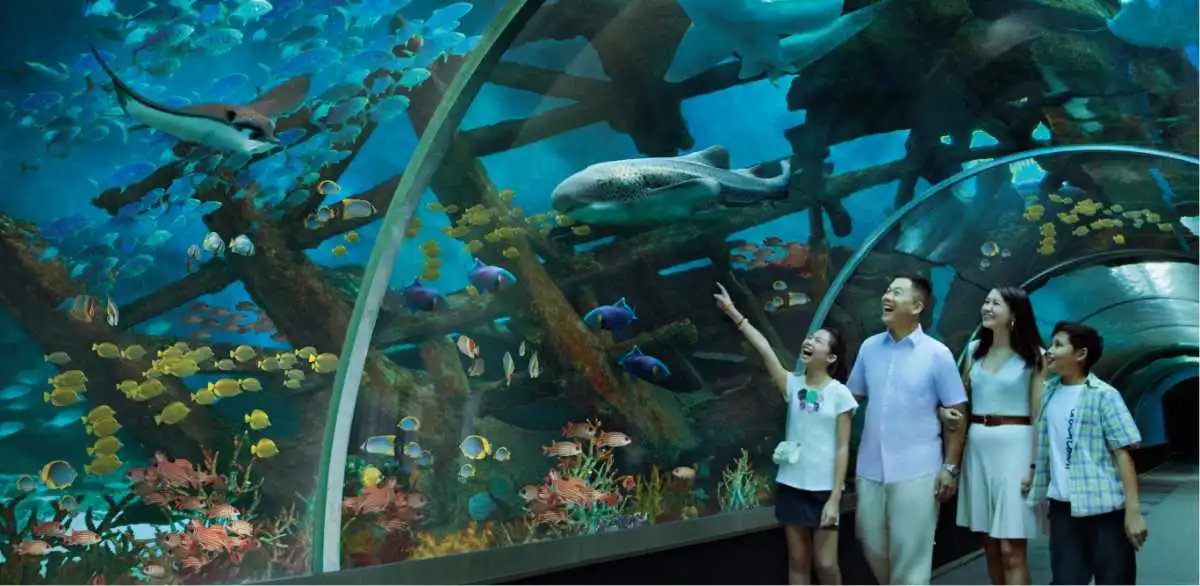 Unforgettable Experiences for Kids in Singapore